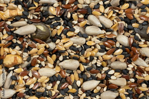 Wallpaper Mural Nutritional seed mix texture with sunflower pumpkin and sesame seeds Torontodigital.ca