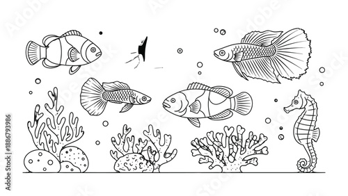 Underwater World sketch: Delicate black and white drawing showcases various marine life including fish, corals, seahorse, and other sea creatures.