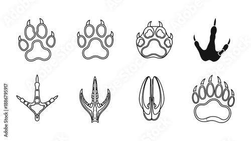 Animal Footprint Icons: A collection of various animal footprint icons, offering a glimpse into the natural world's diverse fauna, designed with simple lines and patterns.