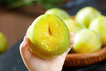 Fresh Green Plums in Hand Studio Still Life