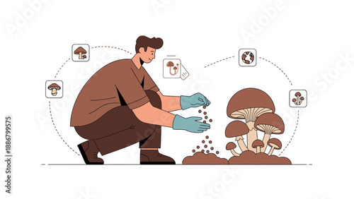 Mushroom Cultivation And Planting In Organic Farming For Sustainable Agriculture