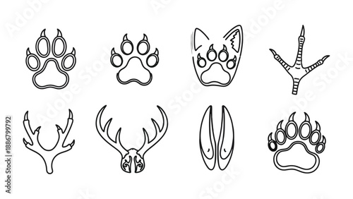Animal Footprint Collection: A curated collection of animal footprints, paws, tracks and antler outlines, presented in a clean and illustrative style.