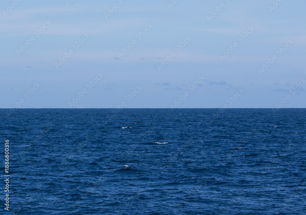 Obraz premium Calm Blue Ocean Horizon Under Clear Sky