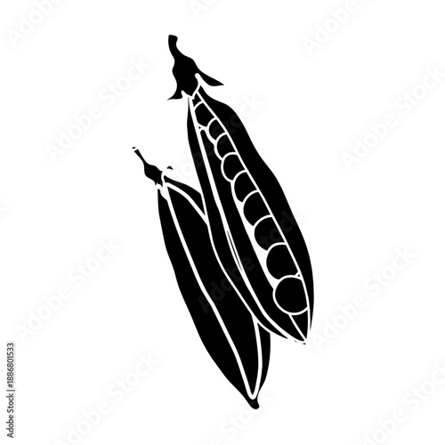A healthy organic illustration featuring a black and white fish alongside black silhouettes of a bird and bird of paradise centered around a fresh orange carrot vegetable isolated on white