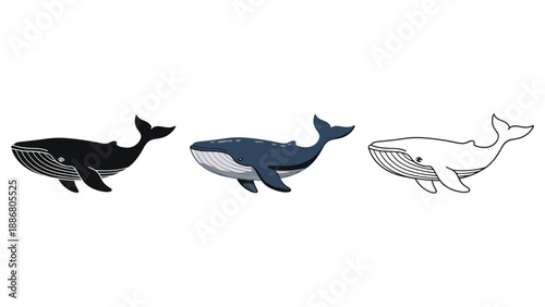 Set of three whale illustrations in black silhouette, blue color, and outline styles