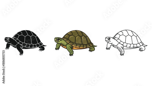 Set of three turtle illustrations in solid black silhouette, color, and outline styles