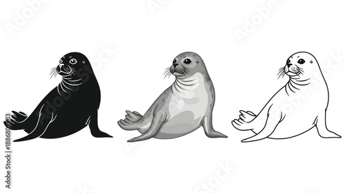 Set of three seal illustrations in black silhouette, grayscale, and outline styles