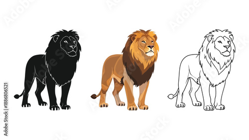 Set of three male lion illustrations in silhouette, full color, and outline styles