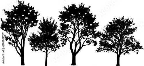 Four apple trees in black silhouette on transparent background
