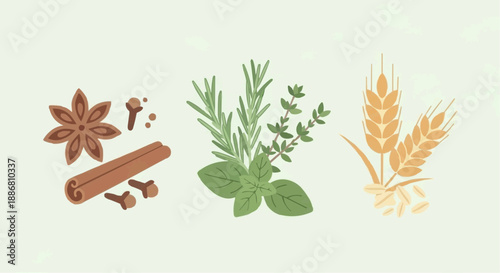 Assorted Spices and Herbs Arranged Together with Grains in a Flat Lay Illustration View