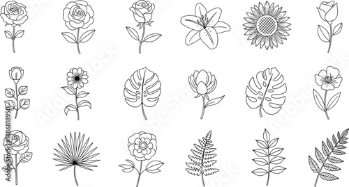 Hand drawn floral and botanical line icons set, flowers and leaves outline illustration, minimal vector design, elegant nature elements, isolated