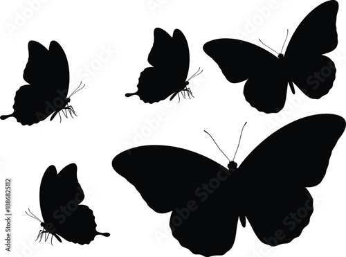 Black silhouettes of butterflies in different sizes and wing positions, ideal for nature illustration, insect design, decorative art, and entomology graphics.