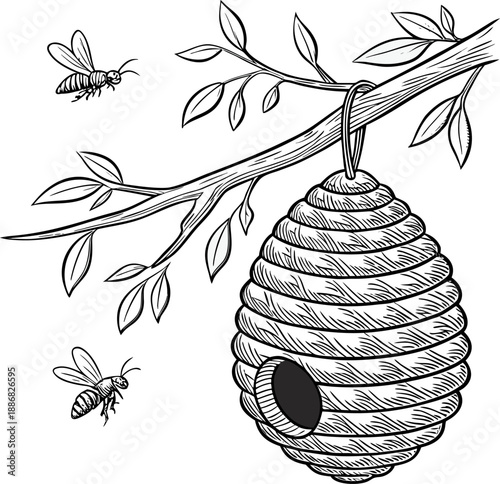 A detailed, black and white line drawing of a beehive hanging from a branch. The beehive, composed of a honeycomb pattern, is suspended from a sturdy, horizontal tree branch. Several bees are depicted