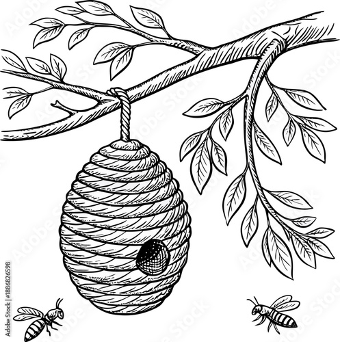 A detailed, black and white line drawing of a beehive hanging from a branch. The beehive, composed of a honeycomb pattern, is suspended from a sturdy, horizontal tree branch. Several bees are depicted