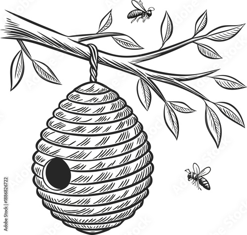A detailed, black and white line drawing of a beehive hanging from a branch. The beehive, composed of a honeycomb pattern, is suspended from a sturdy, horizontal tree branch. Several bees are depicted