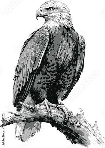 Whimsical hand-drawn illustration of a cute cartoon cat playing with a ball of yarn, playful and charming for children's books and design.