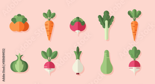 Assorted Vegetables and Roots in Cartoon Style.
