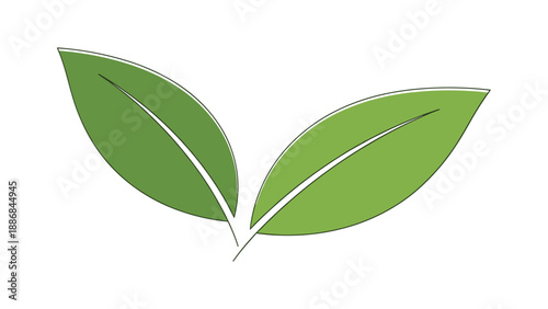 Simple and elegant illustration of two green leaves joined at the stem symbolizing nature, eco friendliness, and organic growth concepts.