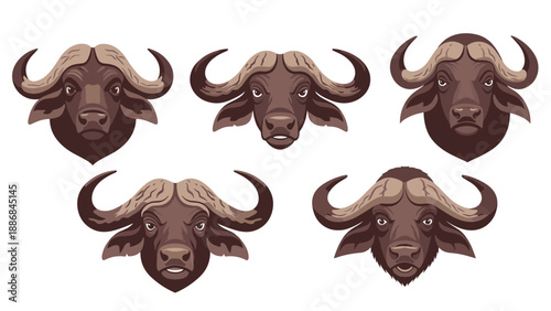 Collection of five African buffalo head illustrations showcases different horn shapes and expressions in a earthy brown color.