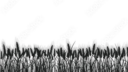 Black silhouette of a dense wheat field creates a horizontal border showing many individual ears and stalks of grain.