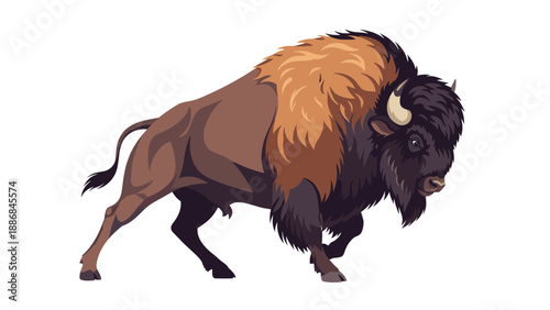 Powerful American bison with dark brown fur and large horns is shown walking in a strong and determined posture.