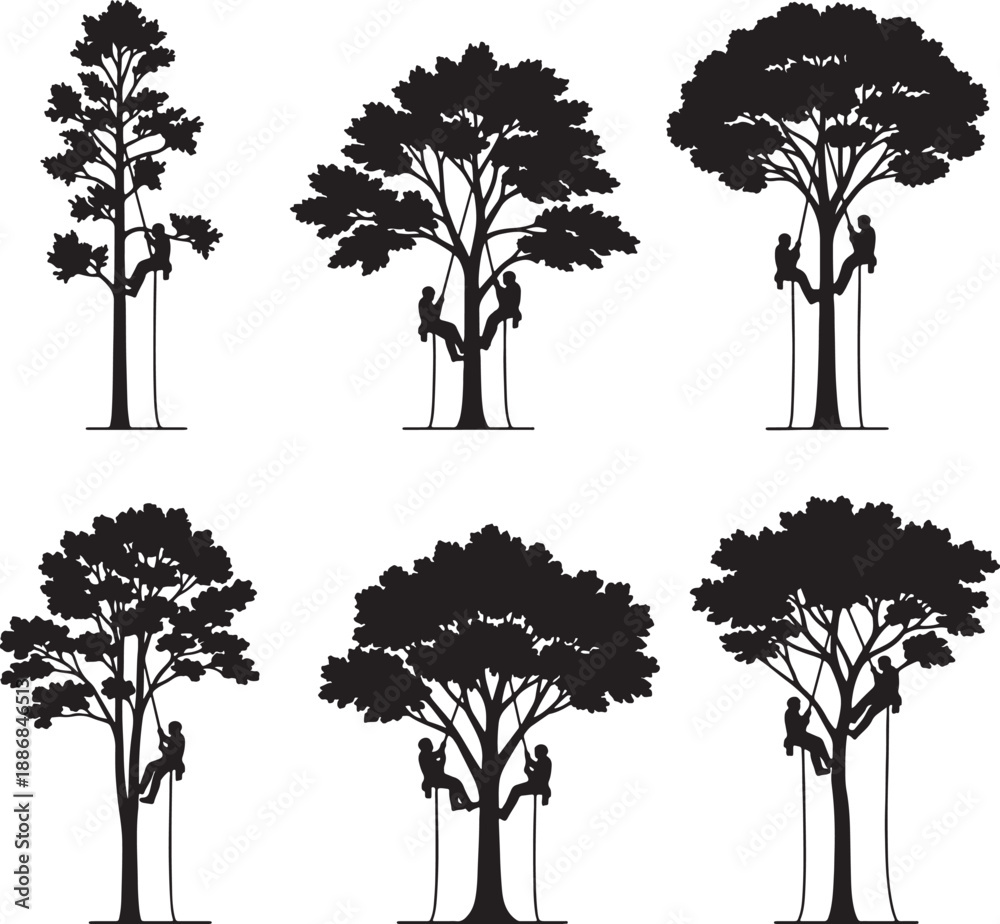 Fototapeta premium Silhouettes of people climbing and sitting in various trees with different foliage and trunk shapes also transparent background