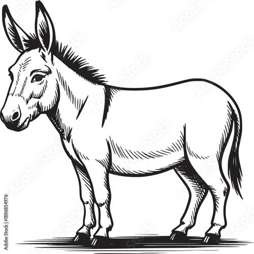 A black and white sketch of a donkey standing with long ears and a short tail on a white backdrop