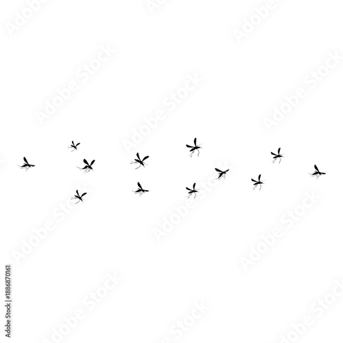 Flying Mosquito Illustration