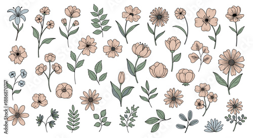 Extensive collection of hand-drawn botanical elements including various wild flowers, leaves, and floral sprigs for artistic designs.