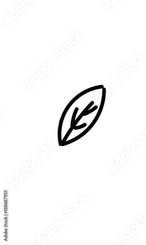 A simple, stylized leaf illustration black lines against a white background, displaying a gentle, flowing aesthetic