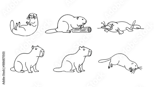 Adorable Aquatic Companions: A charming collection of various water-loving mammals, each depicted with endearing simplicity. A delightful illustration.