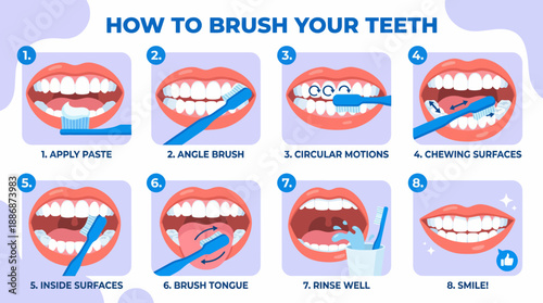 How to Brush Your Teeth: 8 Step Infographic Guide for Proper Dental Hygiene, Oral Care Technique, and Clean Mouth Routine.