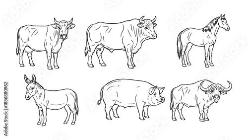 Farm Animals Line-Up: A sketched compilation showcasing the variety and distinctiveness of livestock, rendered in a simple yet elegant manner. 