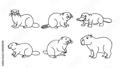 Diverse Animal Lineup: An assortment of various animal illustrations, each meticulously drawn, showcasing a unique collection of diverse creatures.