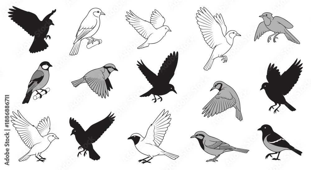 Obraz premium Set of bird illustrations featuring different styles like silhouettes, line drawings, and grey shaded versions in various poses.