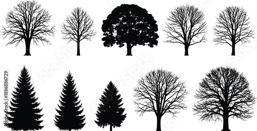 Tree silhouette collection, botanical shapes, deciduous and coniferous trees, winter branches, forest elements, nature icons, black vector illustration, isolated