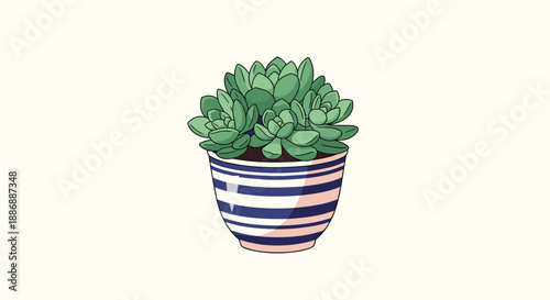 Small green succulent plant growing in a decorative pink and blue striped ceramic pot on a cream background.