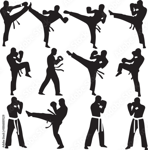 Martial arts silhouette postures and techniques