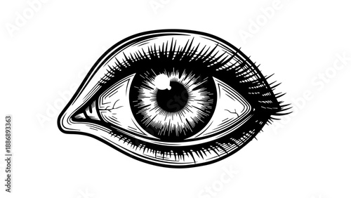High-contrast black-and-white illustration of a single human eye with intricate details