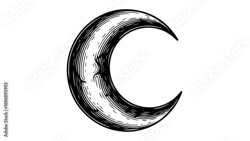 High-contrast black and white crescent moon illustration with intricate texture and shading