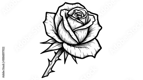 Black and white line drawing of a single rose with intricate petals and thorns on a plain background