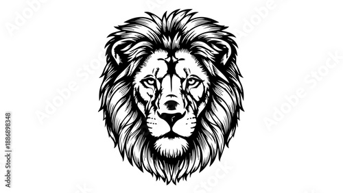 High-contrast black-and-white illustration of a lion's head with a voluminous mane