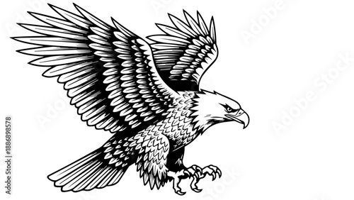 Black and white illustration of an eagle in mid-flight with detailed feathers and outstretched talons