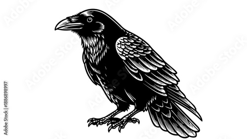 High-contrast black-and-white illustration of a lifelike crow with intricate feather textures