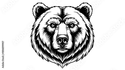 Black and white illustration of a bear's head with detailed linework and shading