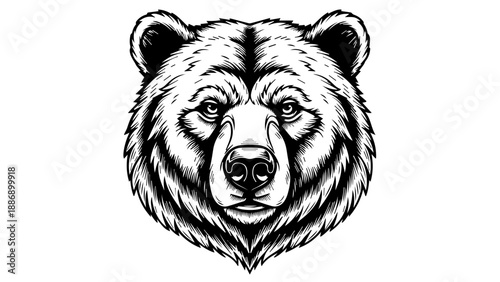 High-contrast black-and-white illustration of a bear's head with intricate linework and shading