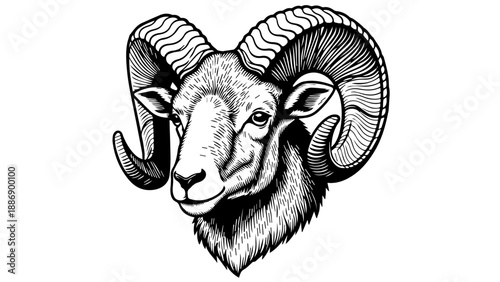 High-contrast black and white illustration of a ram's head with detailed horns