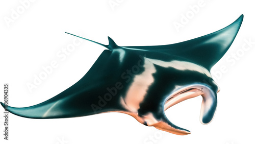Isolated Manta Ray Gliding with Elegant Wings a Majestic Creature of the Deep Ocean Waters