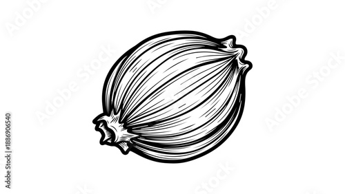 High-contrast black-and-white illustration of a single onion with detailed layers and texture