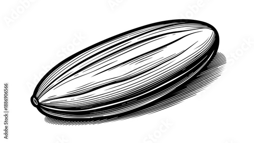 Black and white illustration of an elongated seed with intricate textures